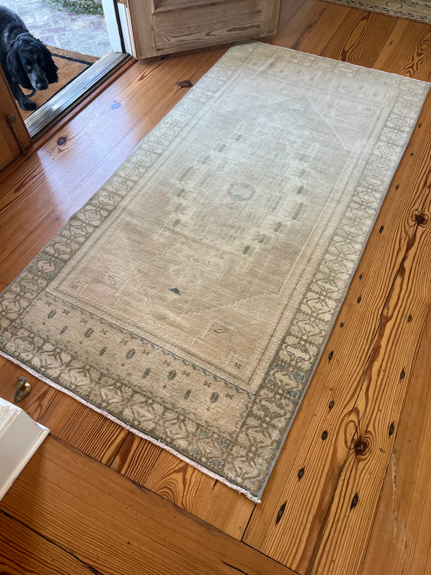 3'6" x 7' Gray Area Rug