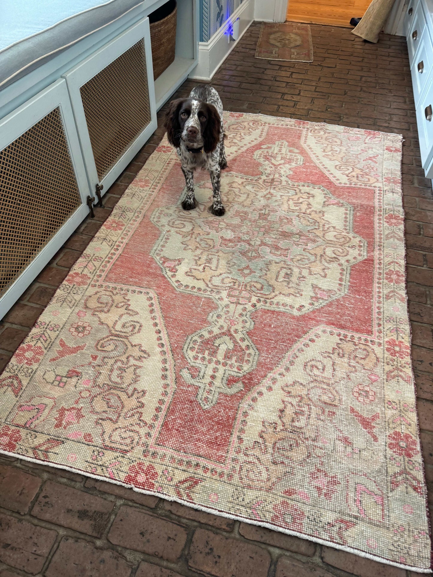 4'3" x 7'4" area rug with red, pink, and gray center medallion design in hallway with dog