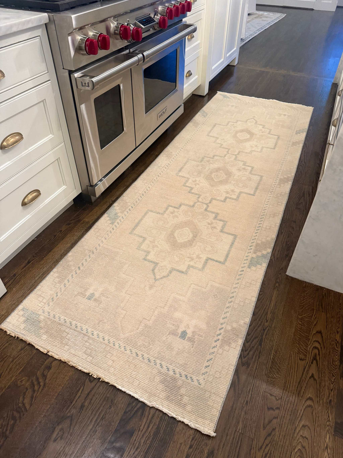 2’11” x 9’1” Runner in neutral beige with blue accents, featuring geometric medallion patterns and fringe edges