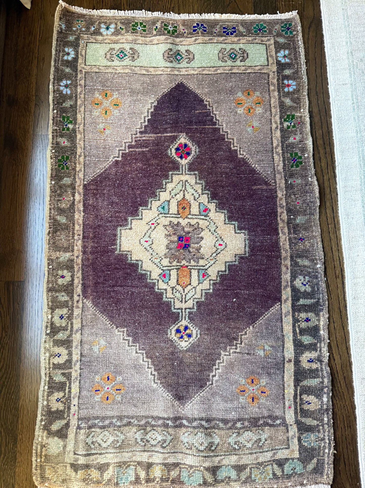 1’9” x 3’2” Mini