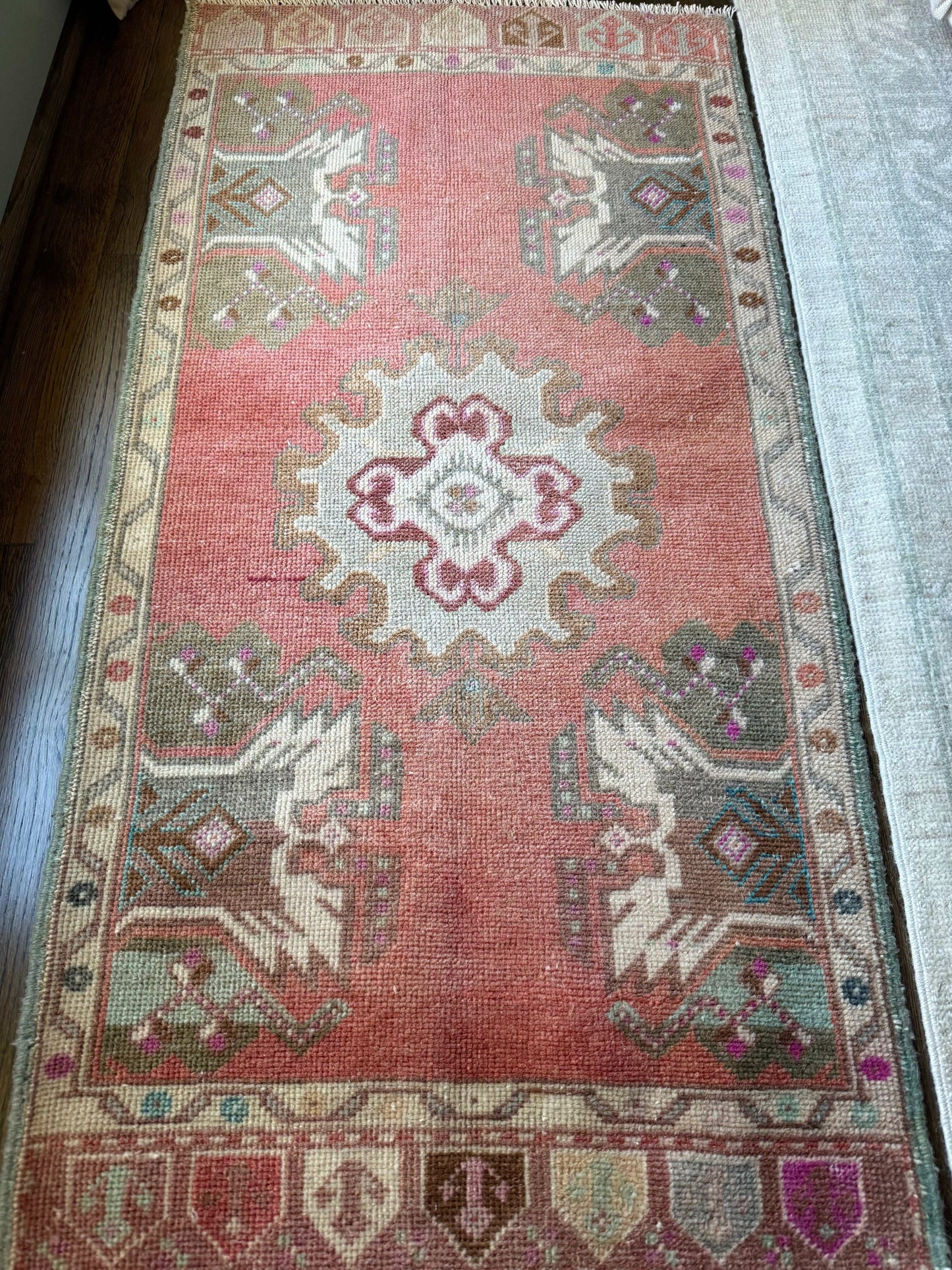 1’11” x 3’9” Mini