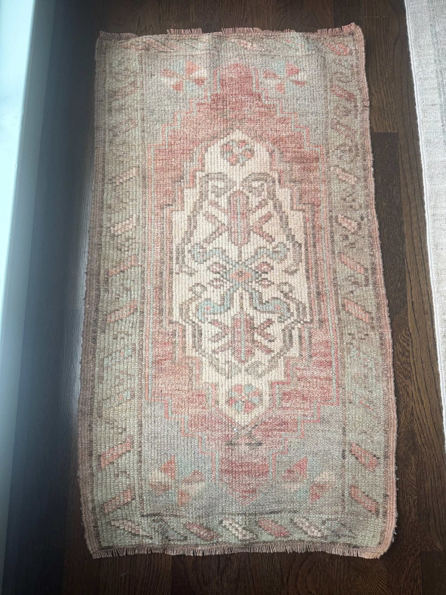 1’9” x 3’2” Mini