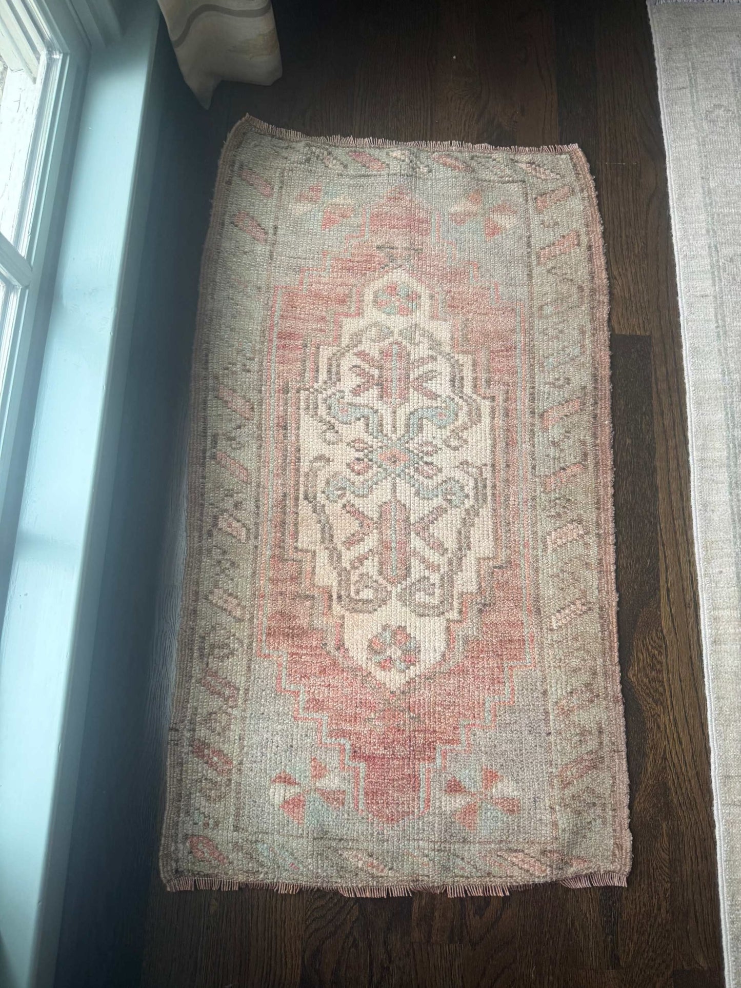 1’9” x 3’2” Mini