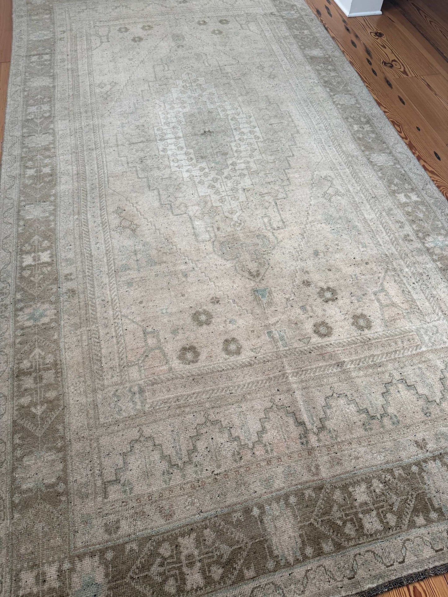 6' x 11'9" Large Gallery Area Rug