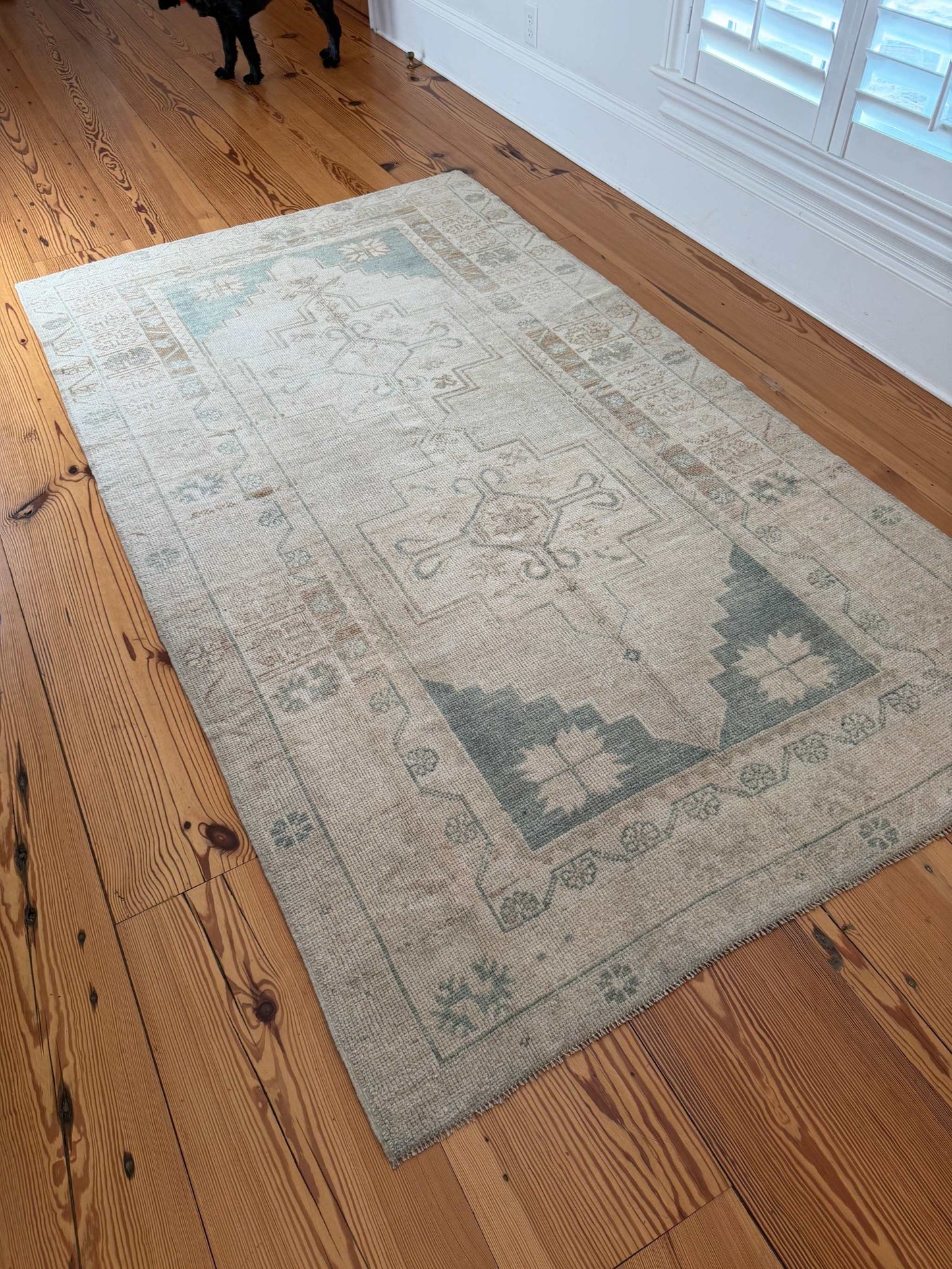 4'8" x 8'1" area rug with neutral background and teal double medallions hand knotted