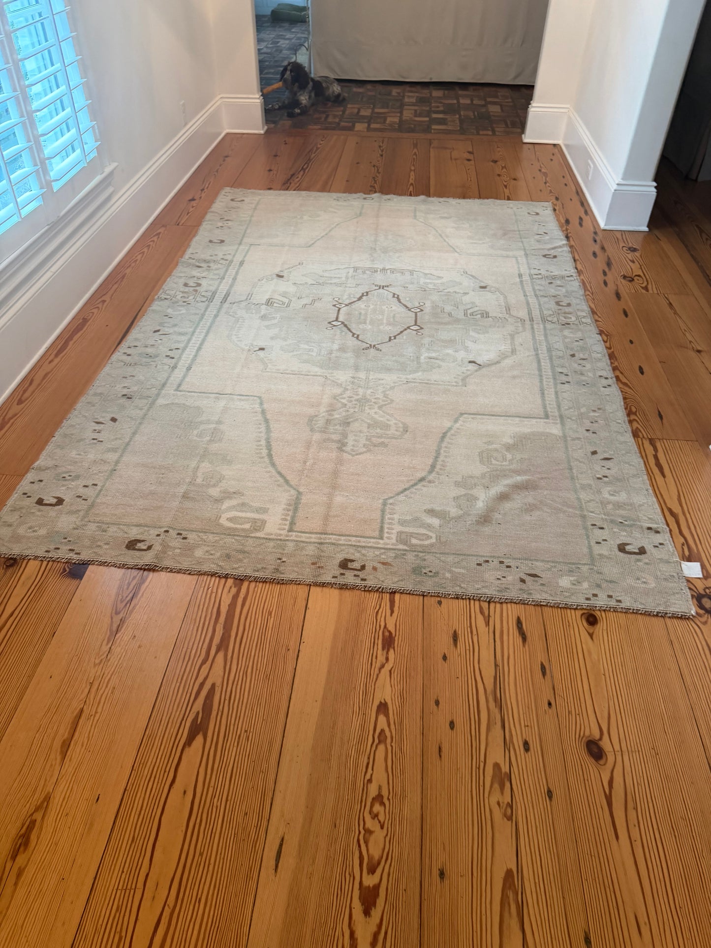 6'1" x 9'3" Area Rug with Soft Colors