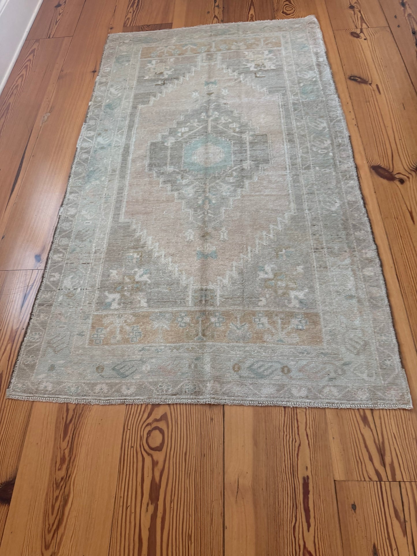 3'10" x 6'9" Area Rug with Soft Colors