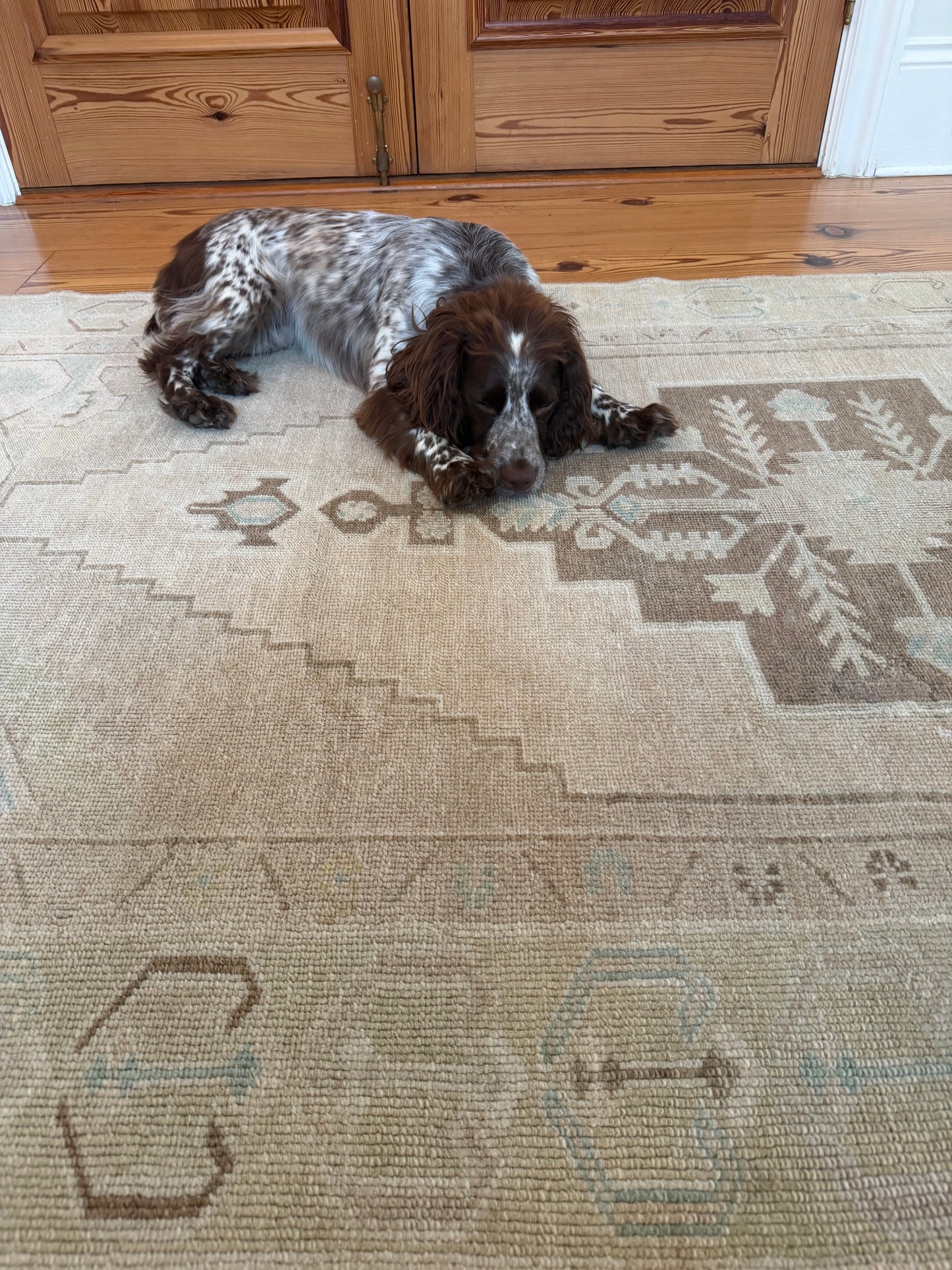 4'3" x 8'2" Area Rug